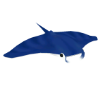 Manta Ray