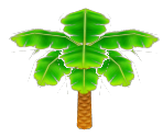 Palm Tree