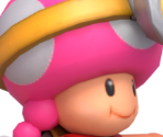 Toadette (Explorer)