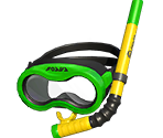 Snorkel Mask