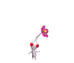 White Pikmin Trophy