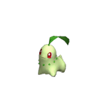 Chikorita Trophy