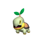 Turtwig Trophy