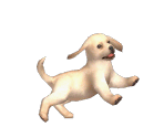 Nintendog Trophy