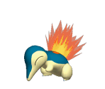 Cyndaquil Trophy