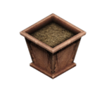 Plant Pot