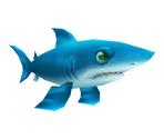 Shark