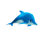 Dolphin