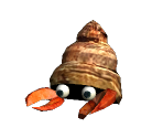 Hermit Crab