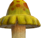 007 Smileshroom