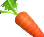 Carrot