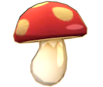 Vigor Mushroom
