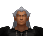 Ansem (Black Coat)