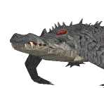 Aligator