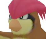 #017 Pidgeotto