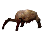 Headcrab