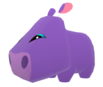 Pet Hippo