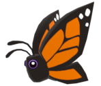 Pet Monarch Butterfly