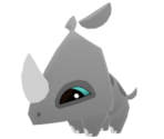 Pet Rhino