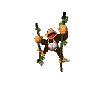 Donkey Kong Junior Trophy