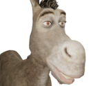 Donkey