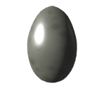 Reptile Egg