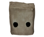 Paper Bag