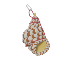 Conch Shell