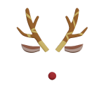 Reindeer