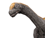 Camarasaurus