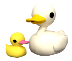 Ducks