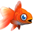 Goldfish