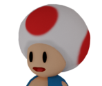 Toad