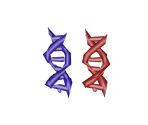 DNA