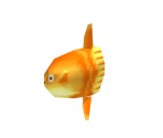 Sunfish