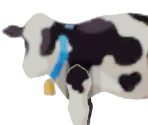 Cow (Road Wario)