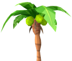 Palm Tree