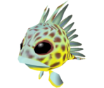 Fish