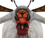 Wasp Empress