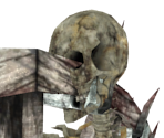 Bonewheel Skeleton