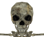 Skeleton Baby