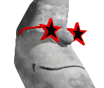 Moon Seeing Stars
