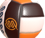 Official Volleyball