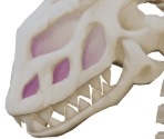 Skull Dragon