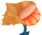 Conch