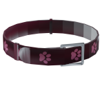 Cat Collar