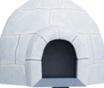 Igloo