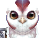 Owl NPC #1