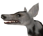 test_dog