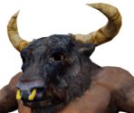 Minotaurs